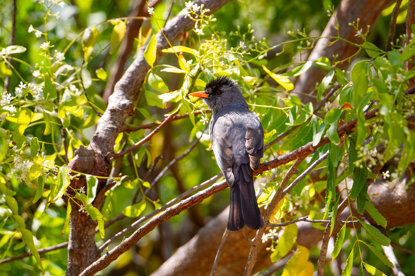 2024_Madagaskar_1D-8235-Verbessert-RR.jpg