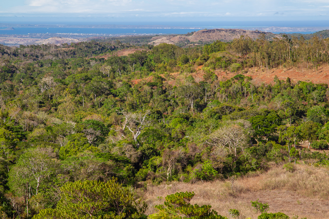2024_Madagaskar_1D-8630.jpg