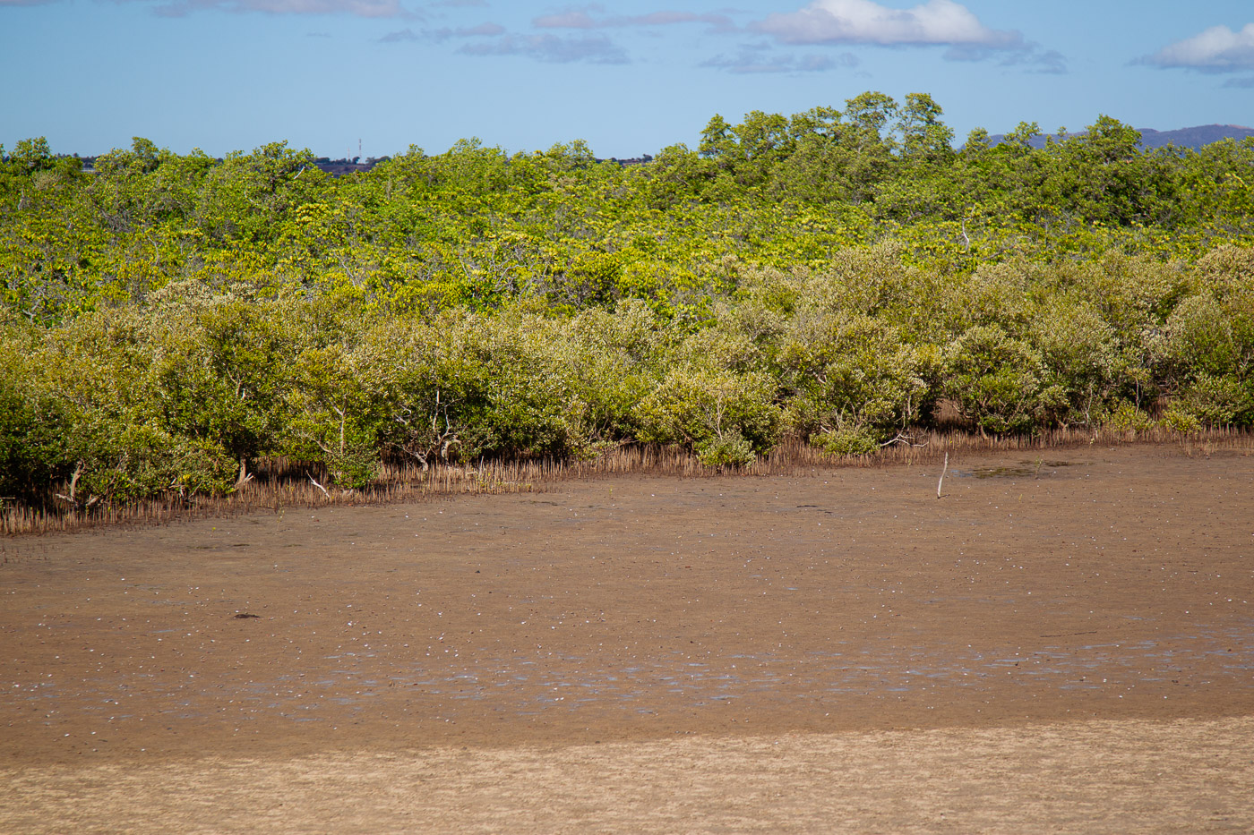 2024_Madagaskar_1D-8724.jpg