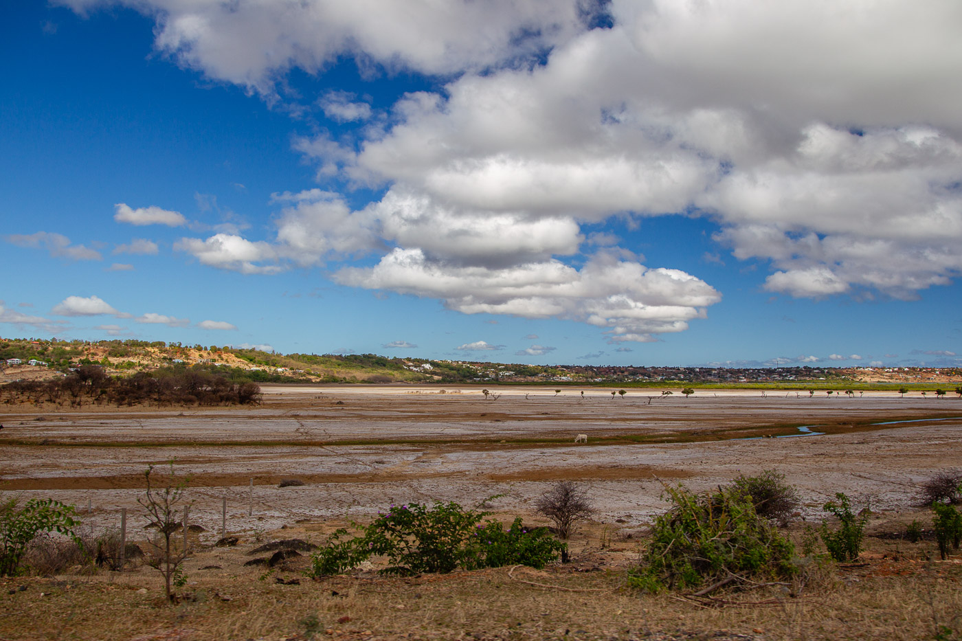 2024_Madagaskar_1D-8739.jpg
