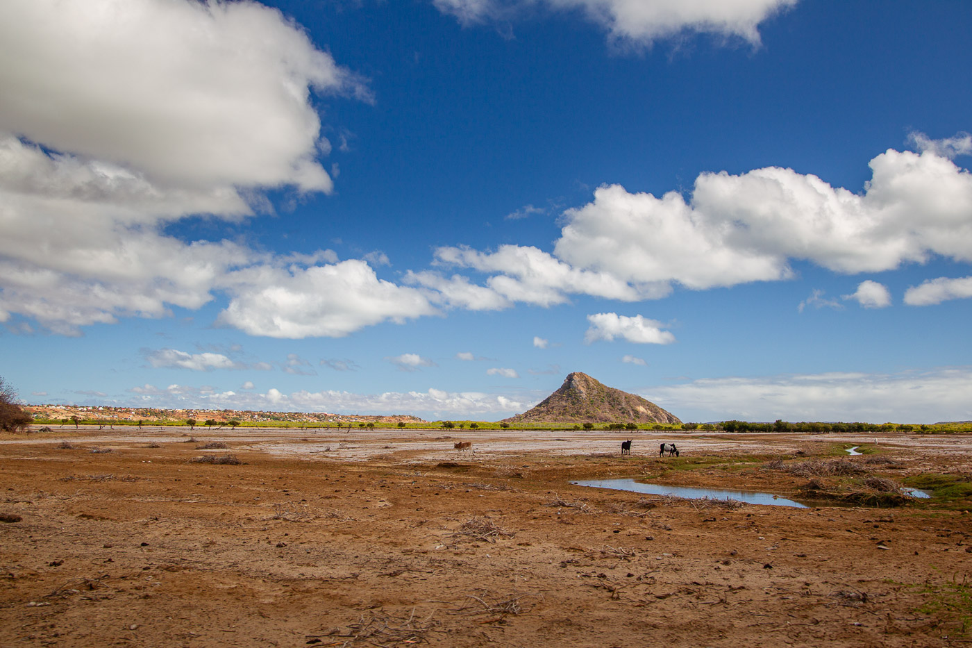 2024_Madagaskar_1D-8743.jpg