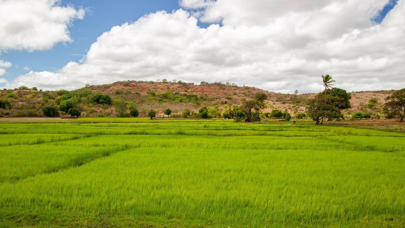 2024_Madagaskar_1D-8878.jpg