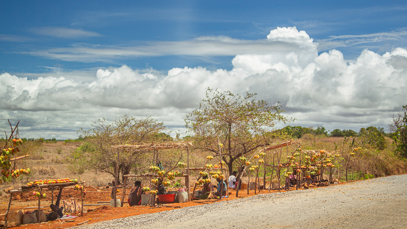 2024_Madagaskar_1D-8949.jpg