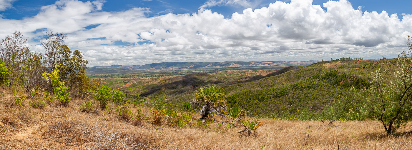 2024_Madagaskar_1D-9005-Pano.jpg