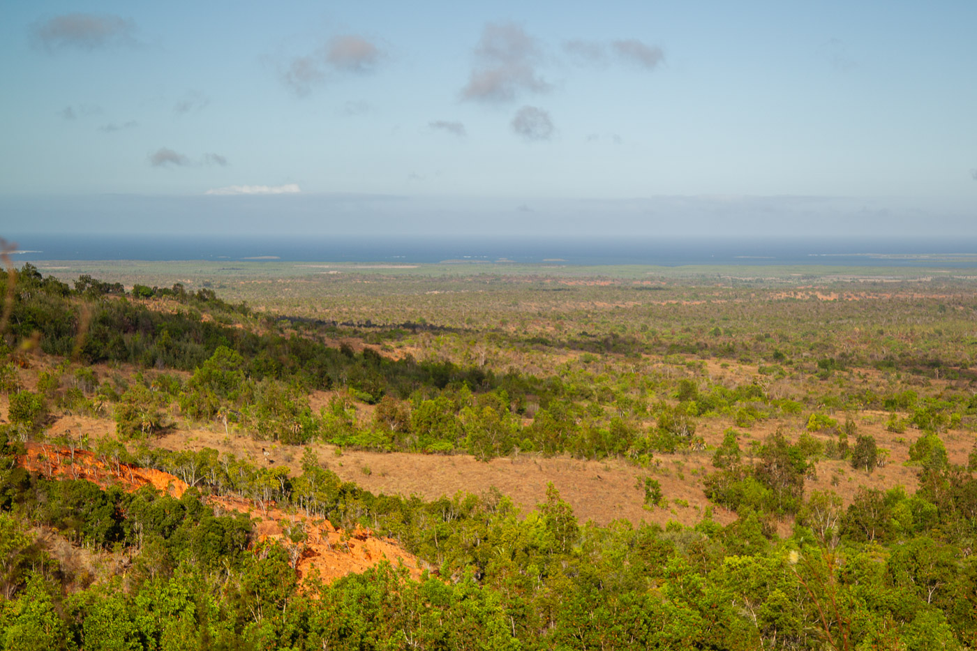 2024_Madagaskar_1D-9149.jpg