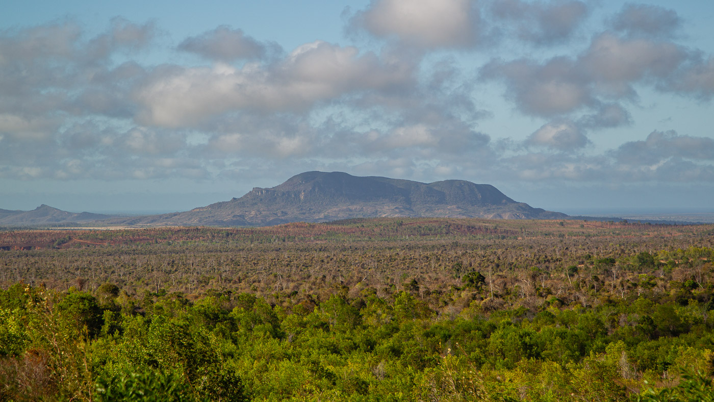 2024_Madagaskar_1D-9160.jpg