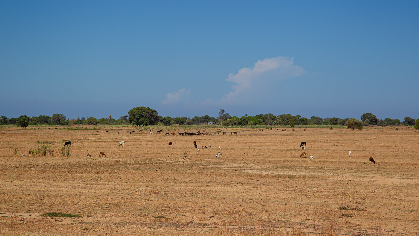 2024_Madagaskar_1D-9543.jpg