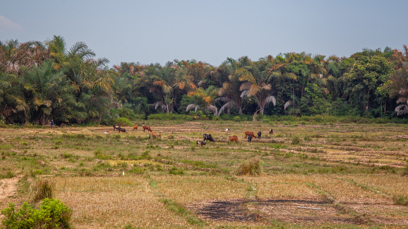 2024_Madagaskar_1D-9686.jpg