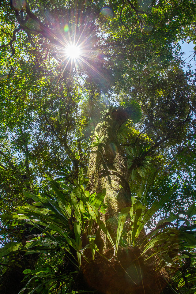 2024_Madagaskar_1D-8412.jpg