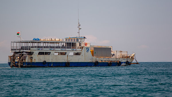 2024_Madagaskar_1D-9783.jpg