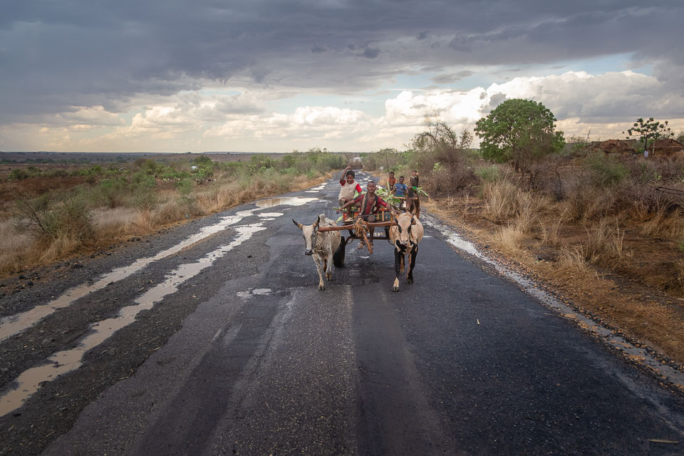 2024_Madagaskar_1D-6646-001-Bearbeitet.jpg 2024_Madagaskar_1D-6646-001-Bearbeitet.jpg