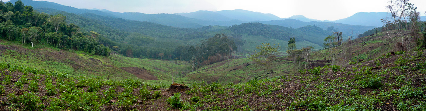 Tansania_2009-1070111-107114_pan.jpg