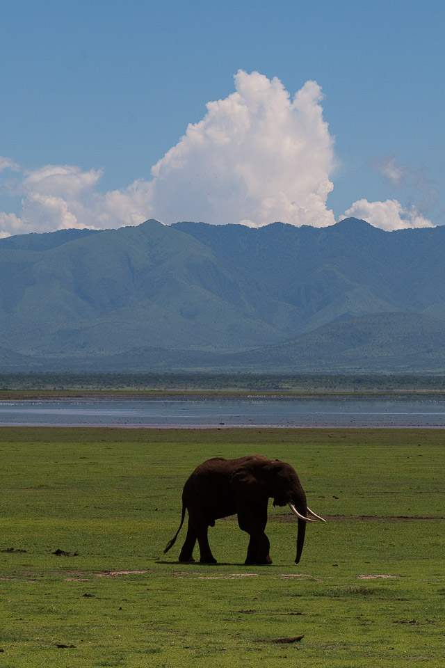Tansania_2009-7470.jpg