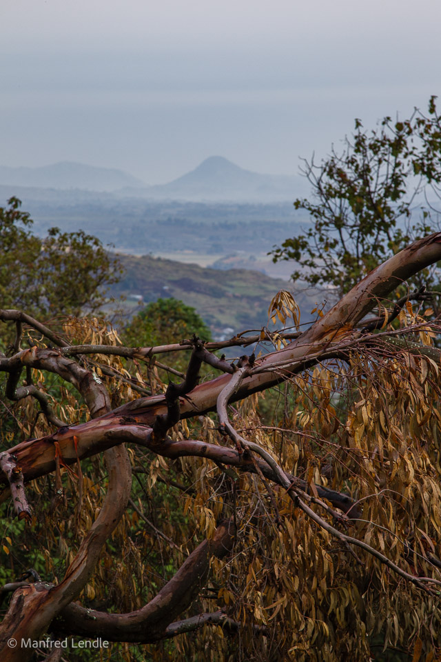 Uganda_2010_1D-0909.jpg