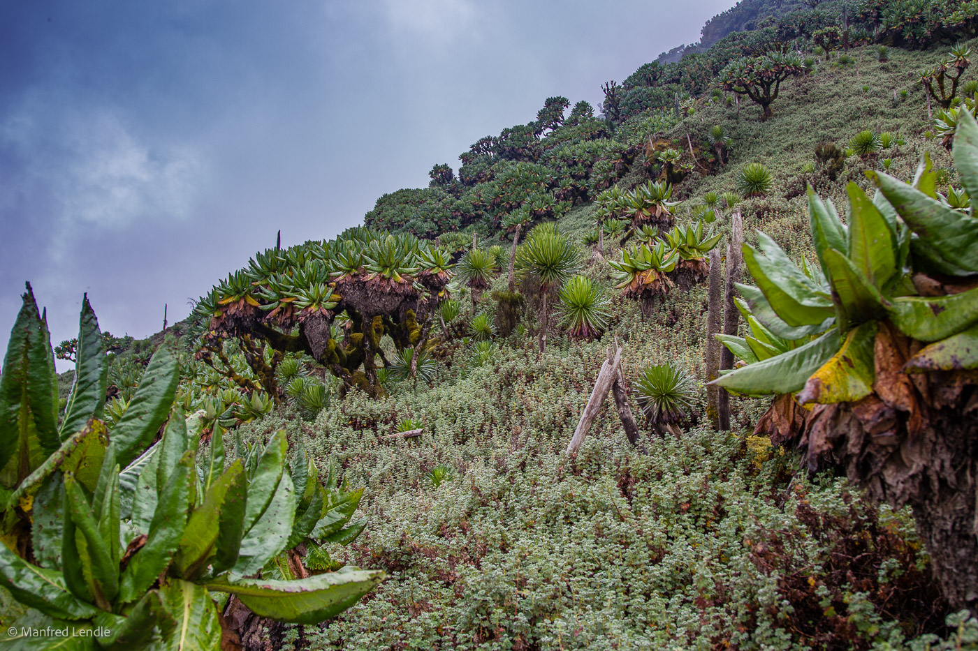 Uganda_2010_1D-1025.jpg