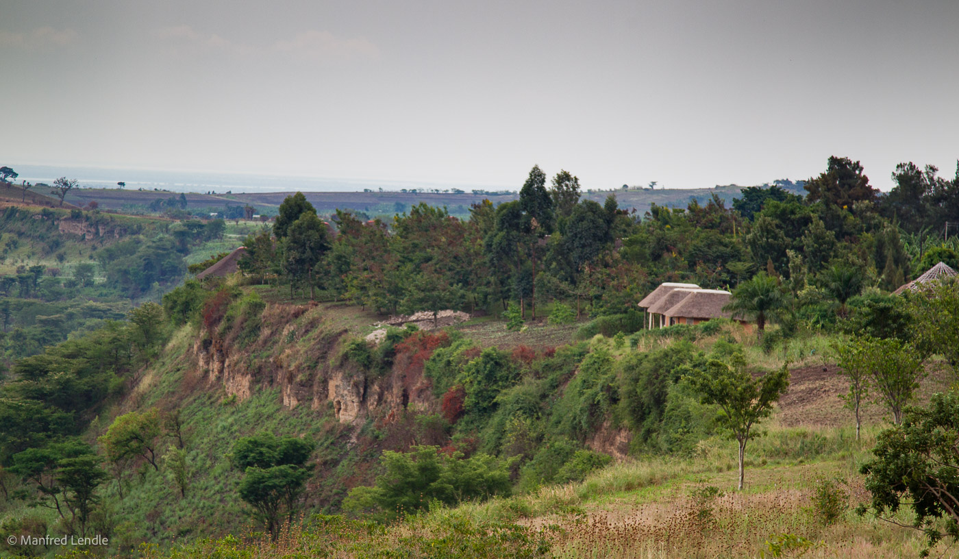 Uganda_2010_1D-1731.jpg