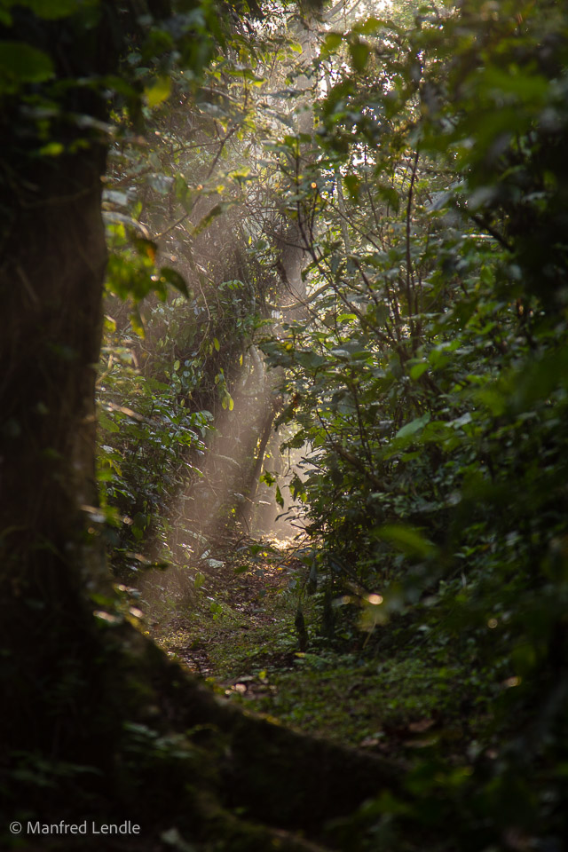 Uganda_2010_1D-1896.jpg