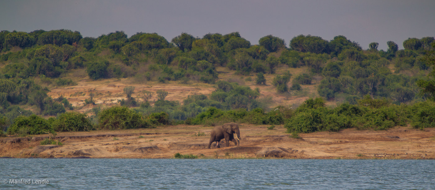 Uganda_2010_1D-2103.jpg