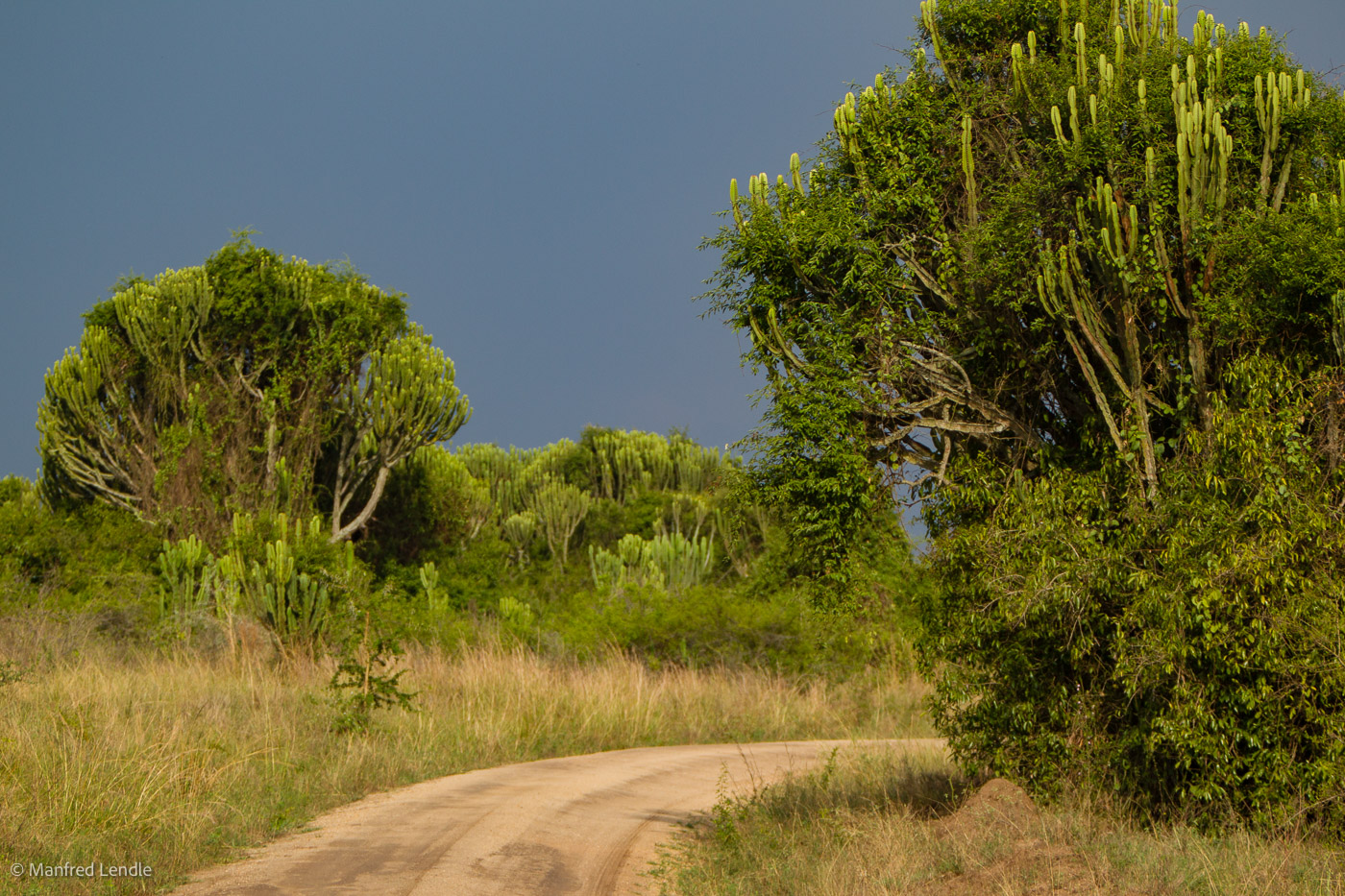 Uganda_2010_1D-2211.jpg