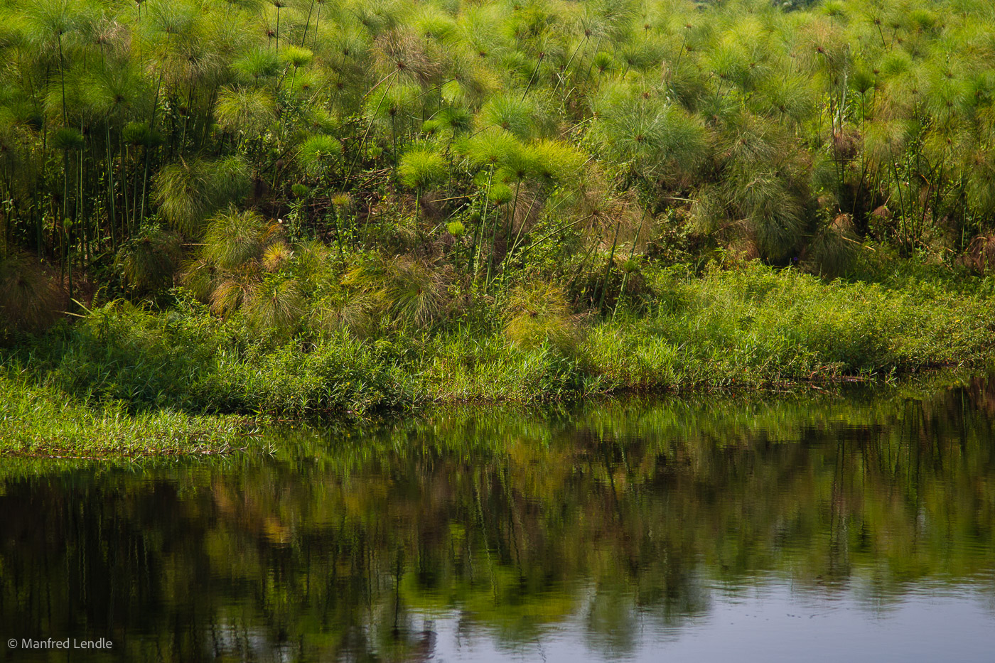 Uganda_2010_1D-2409.jpg