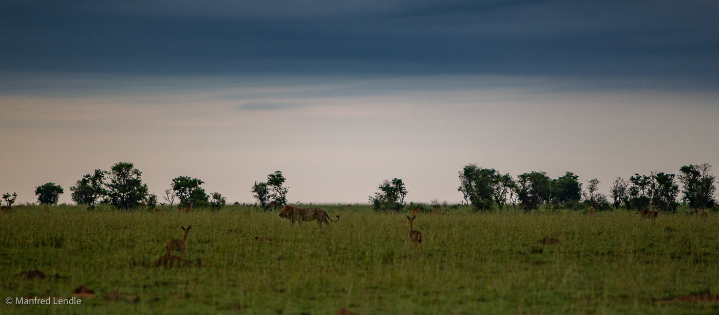 Uganda_2010_1D-2972.jpg