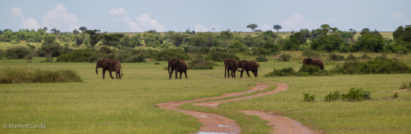 Uganda_2010_1D-3125.jpg