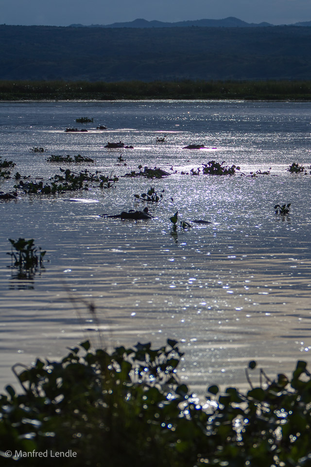 Uganda_2010_1D-3338.jpg