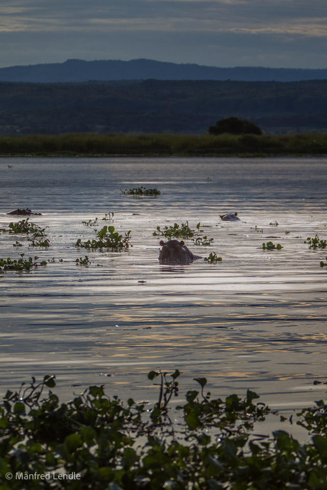 Uganda_2010_1D-3343.jpg