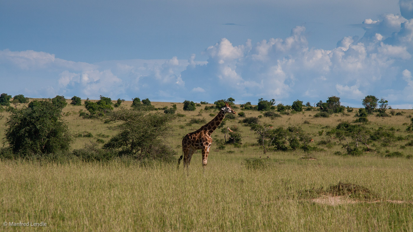 Uganda_2010_20D-0749.jpg