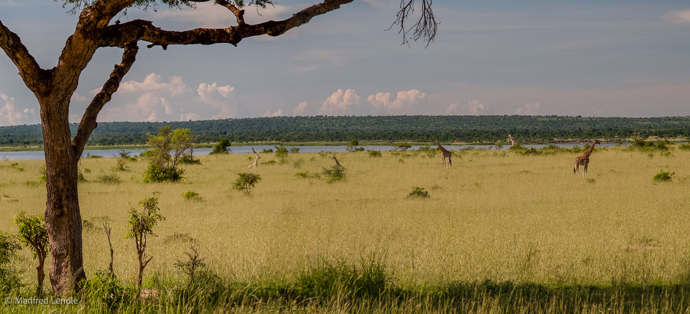 Uganda_2010_20D-0753.jpg