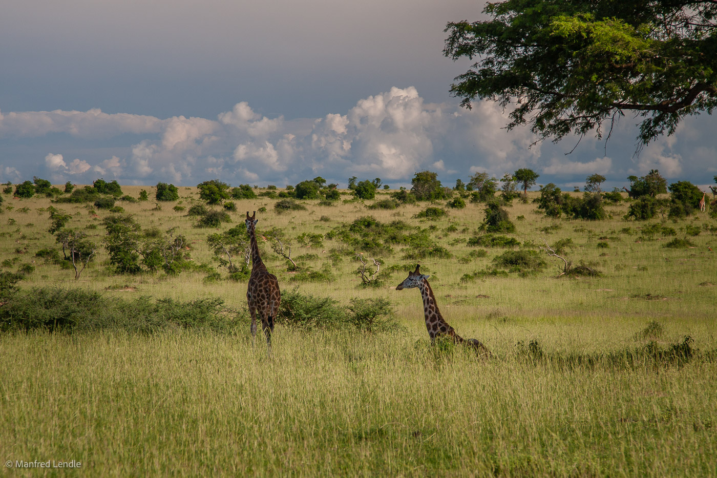 Uganda_2010_20D-0768.jpg