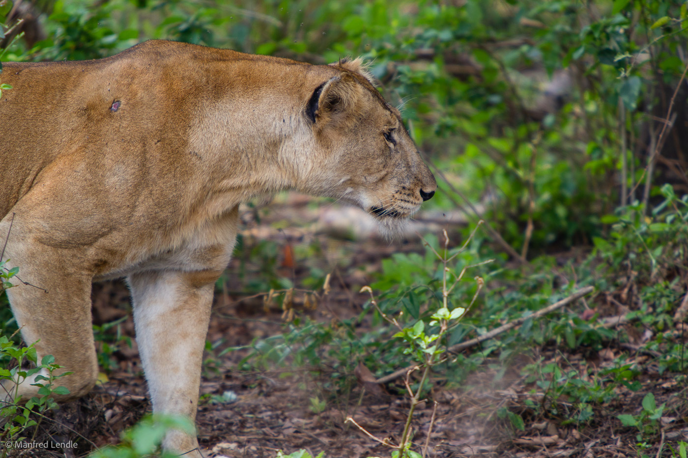 Uganda_2010_1D-1380.jpg
