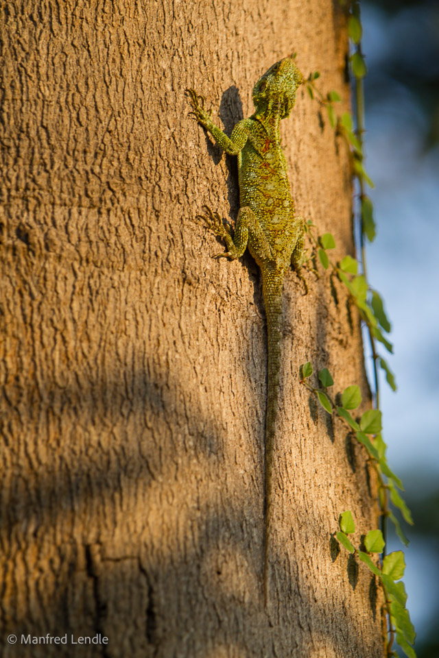 Uganda_2010_1D-1508.jpg