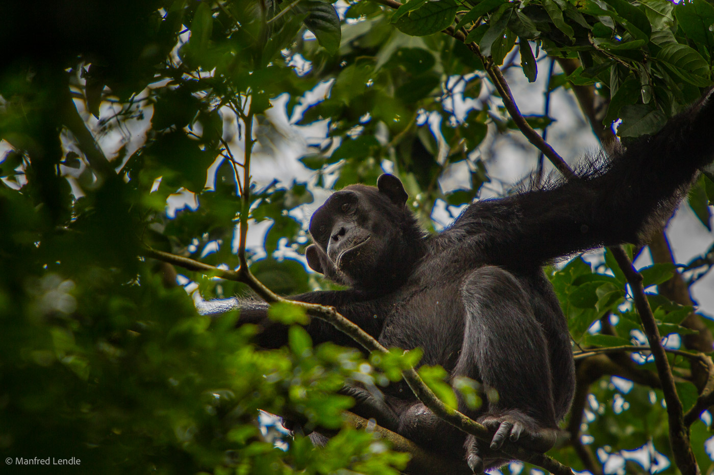 Uganda_2010_1D-2629.jpg