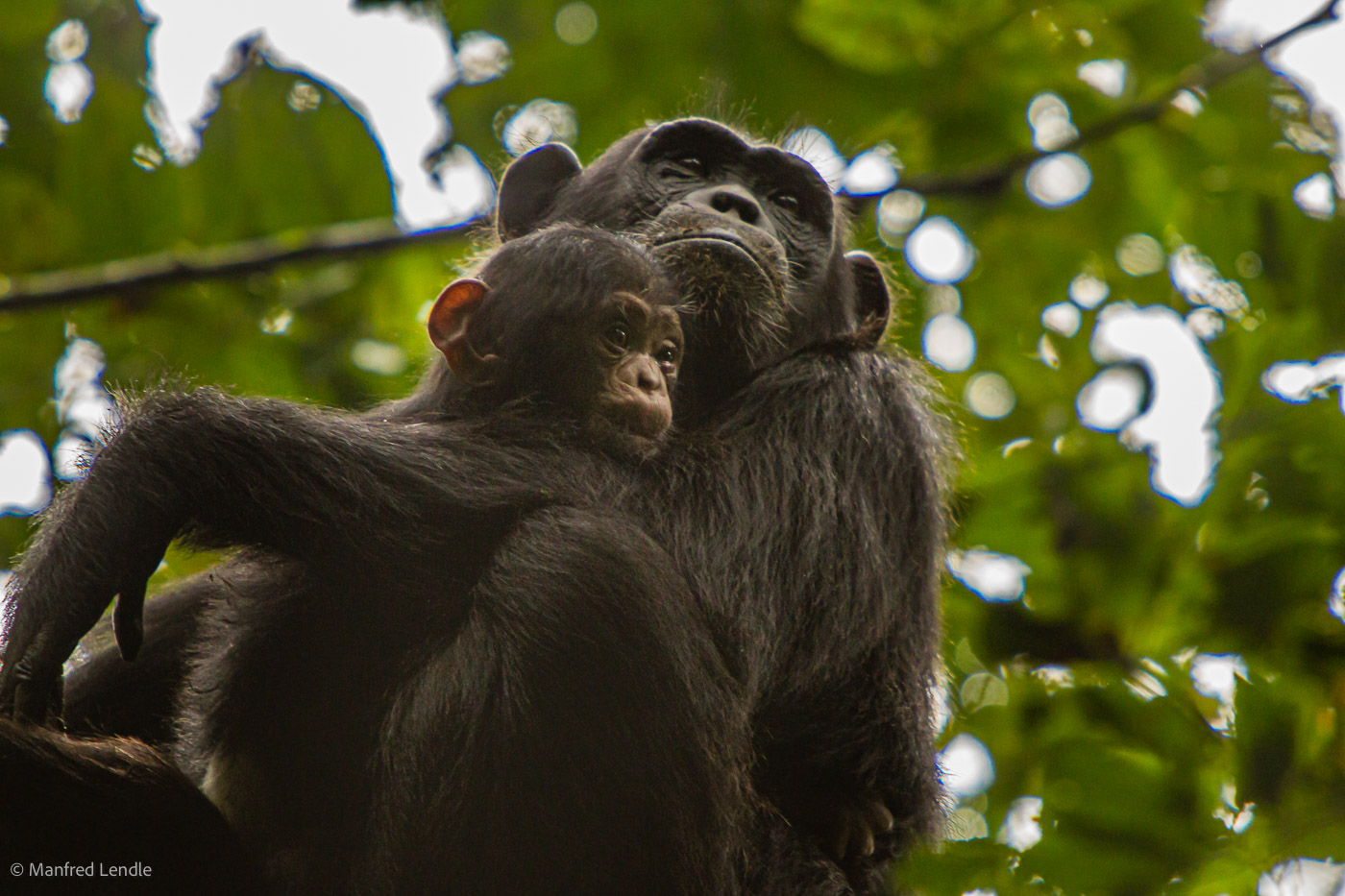 Uganda_2010_1D-2682.jpg