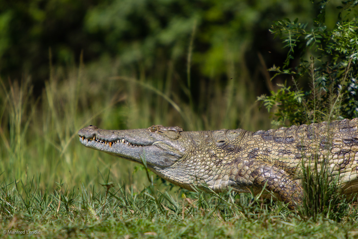 Uganda_2010_1D-2864.jpg