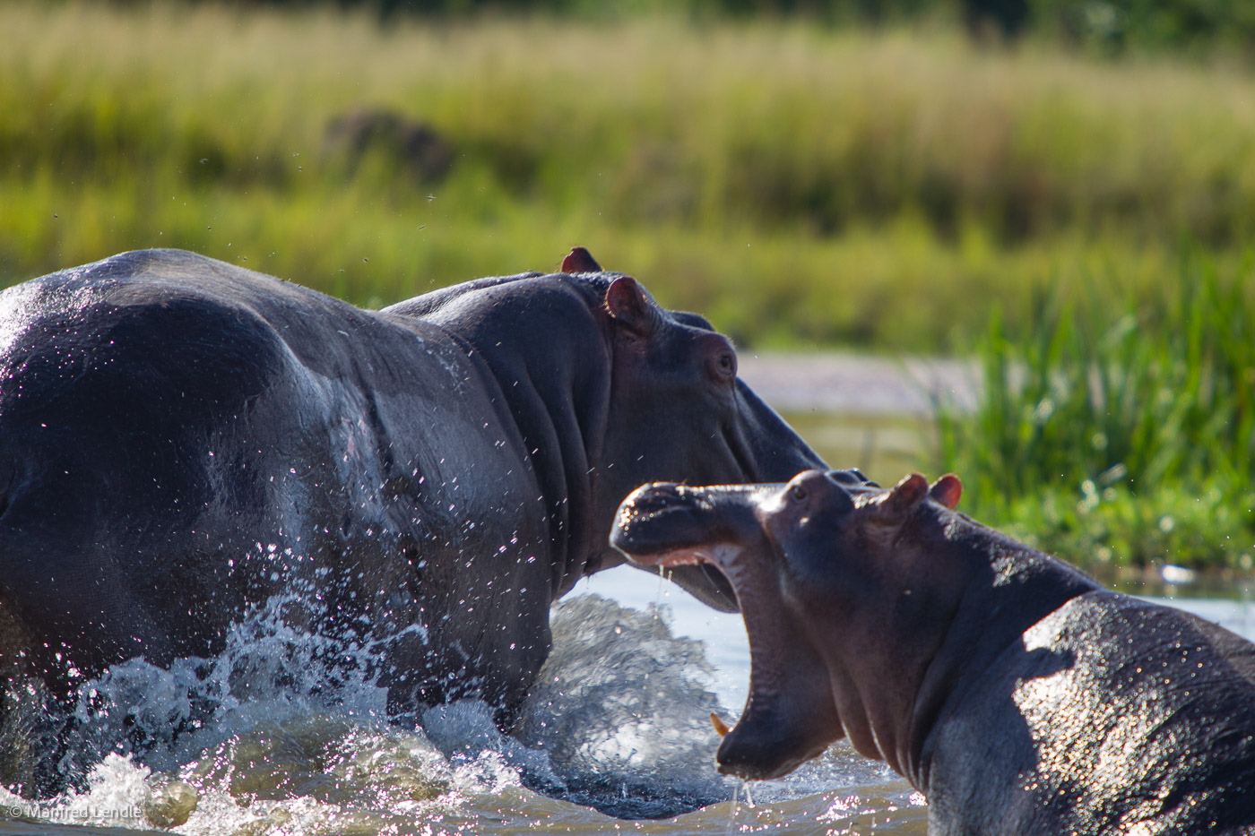 Uganda_2010_1D-2914.jpg