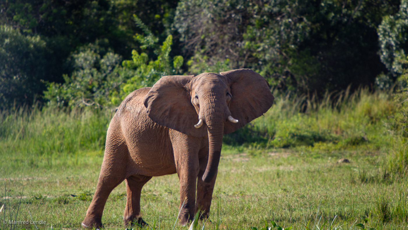 Uganda_2010_1D-2924.jpg