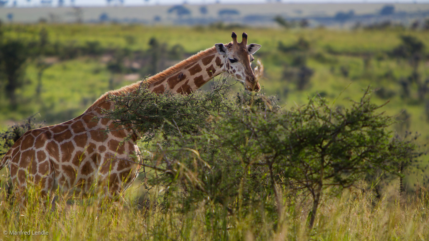 Uganda_2010_1D-2940.jpg