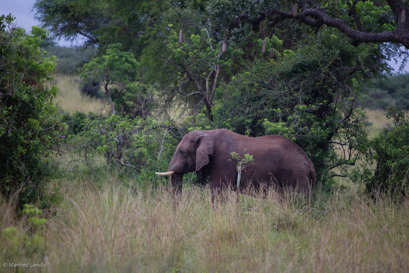 Uganda_2010_1D-3009.jpg