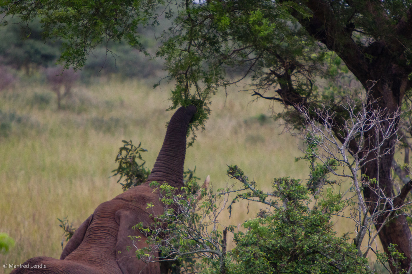 Uganda_2010_1D-3018.jpg