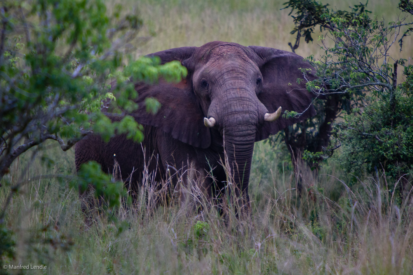 Uganda_2010_1D-3021.jpg