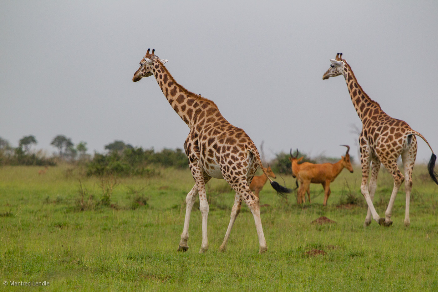 Uganda_2010_1D-3068.jpg