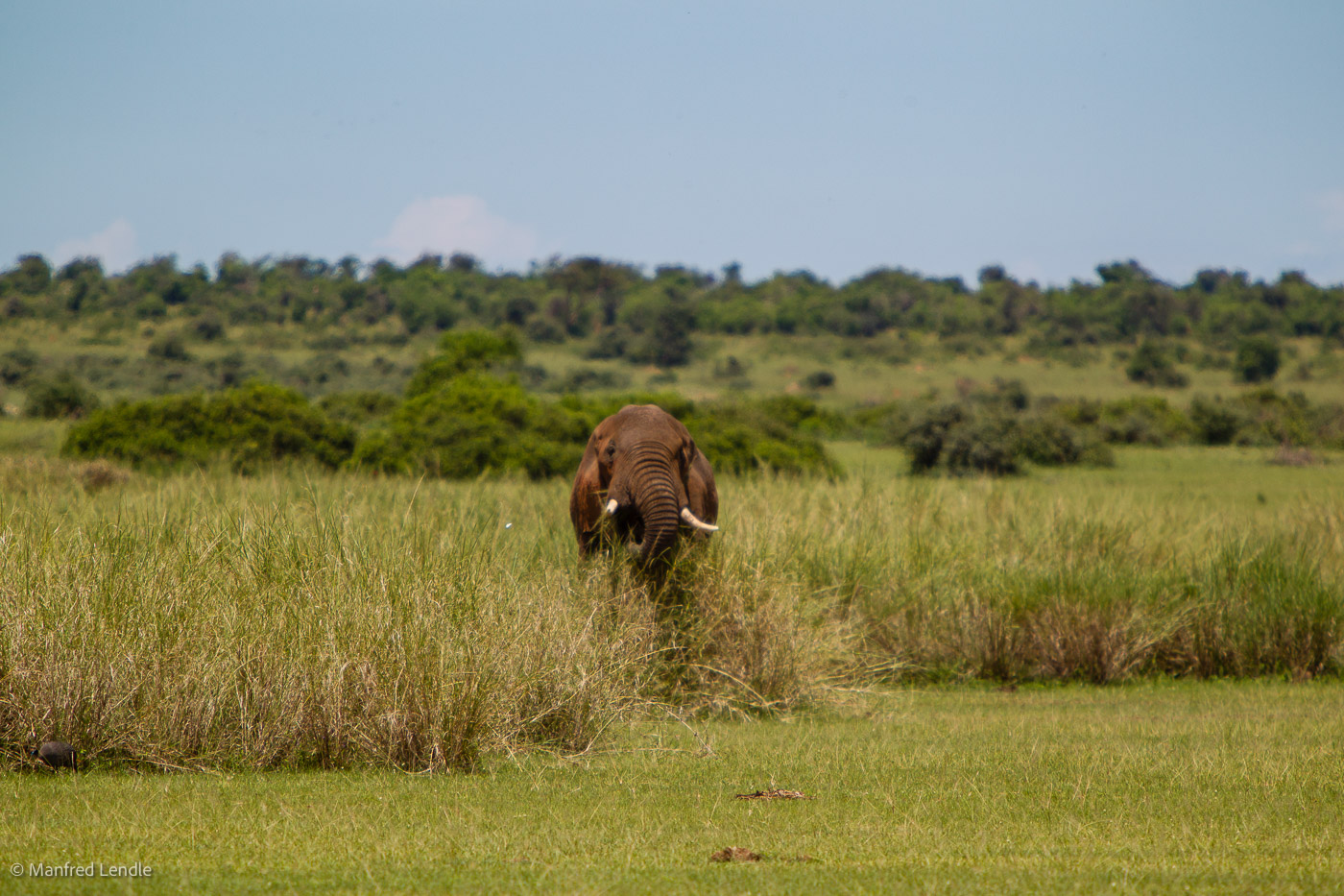 Uganda_2010_1D-3134.jpg