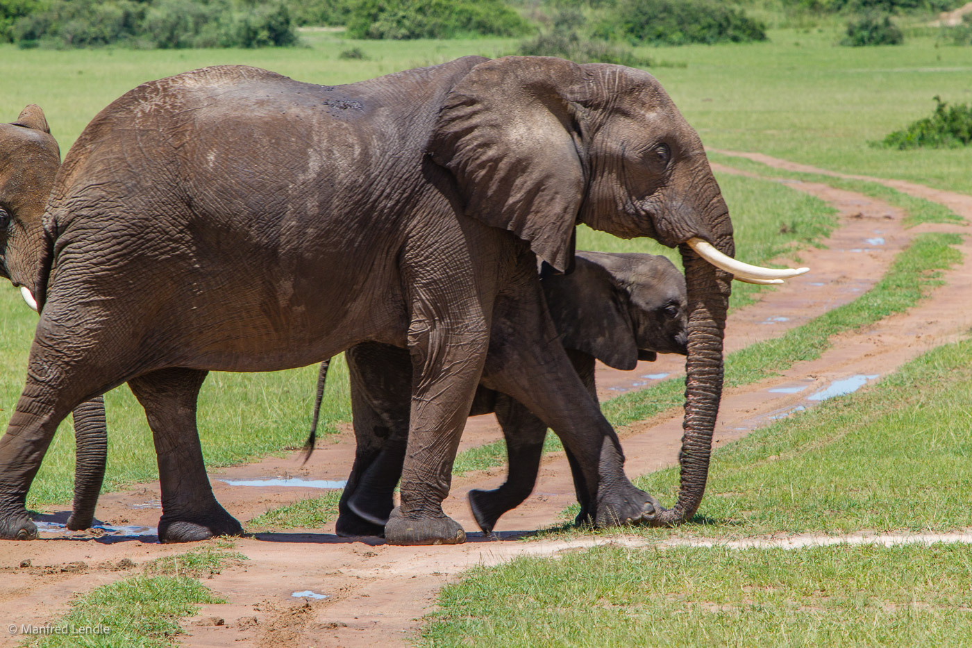 Uganda_2010_1D-3147.jpg