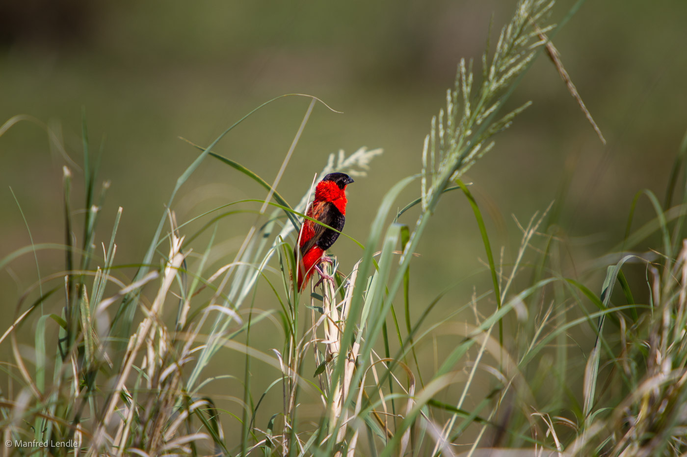 Uganda_2010_1D-3186.jpg