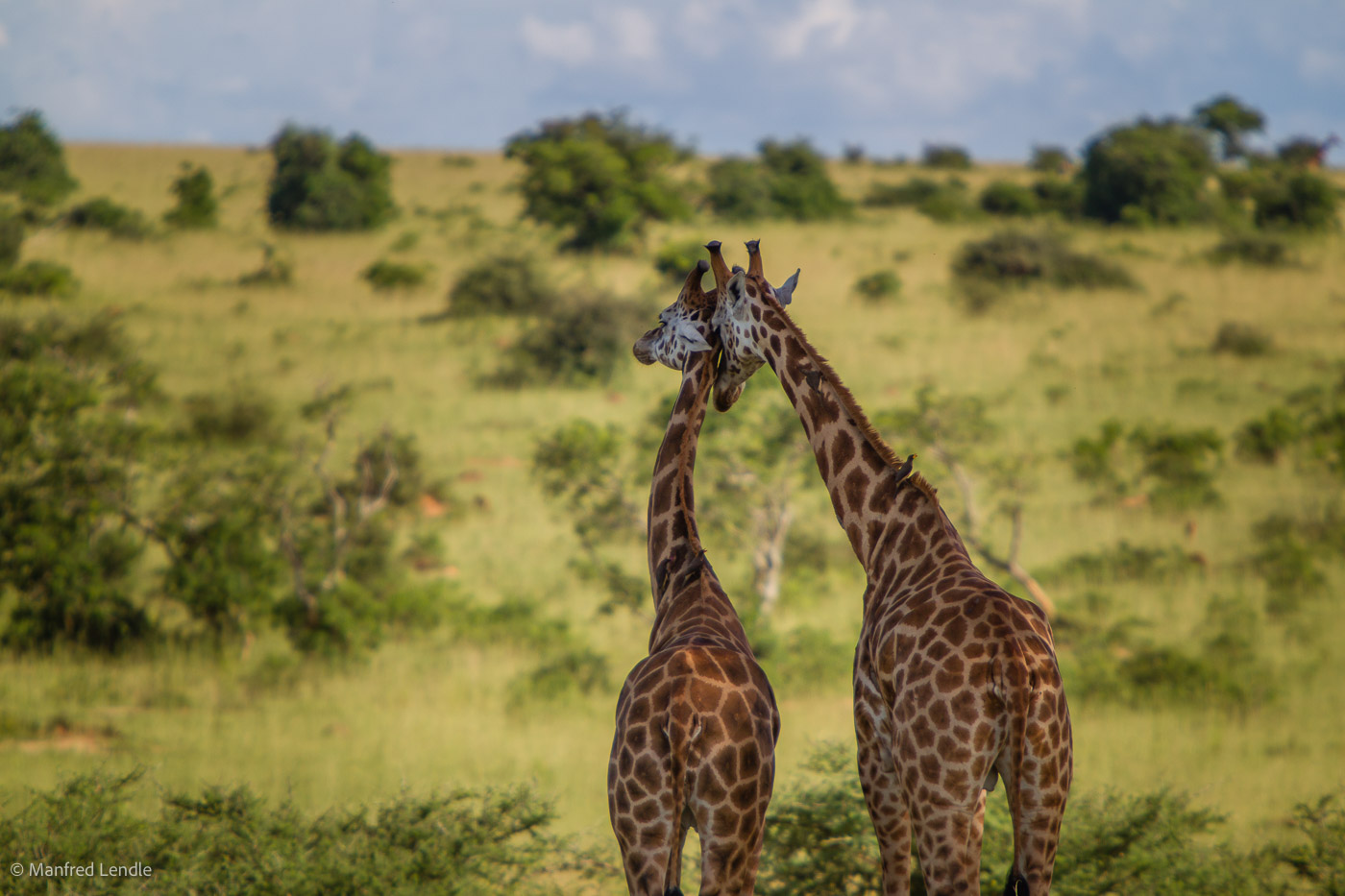 Uganda_2010_1D-3282.jpg