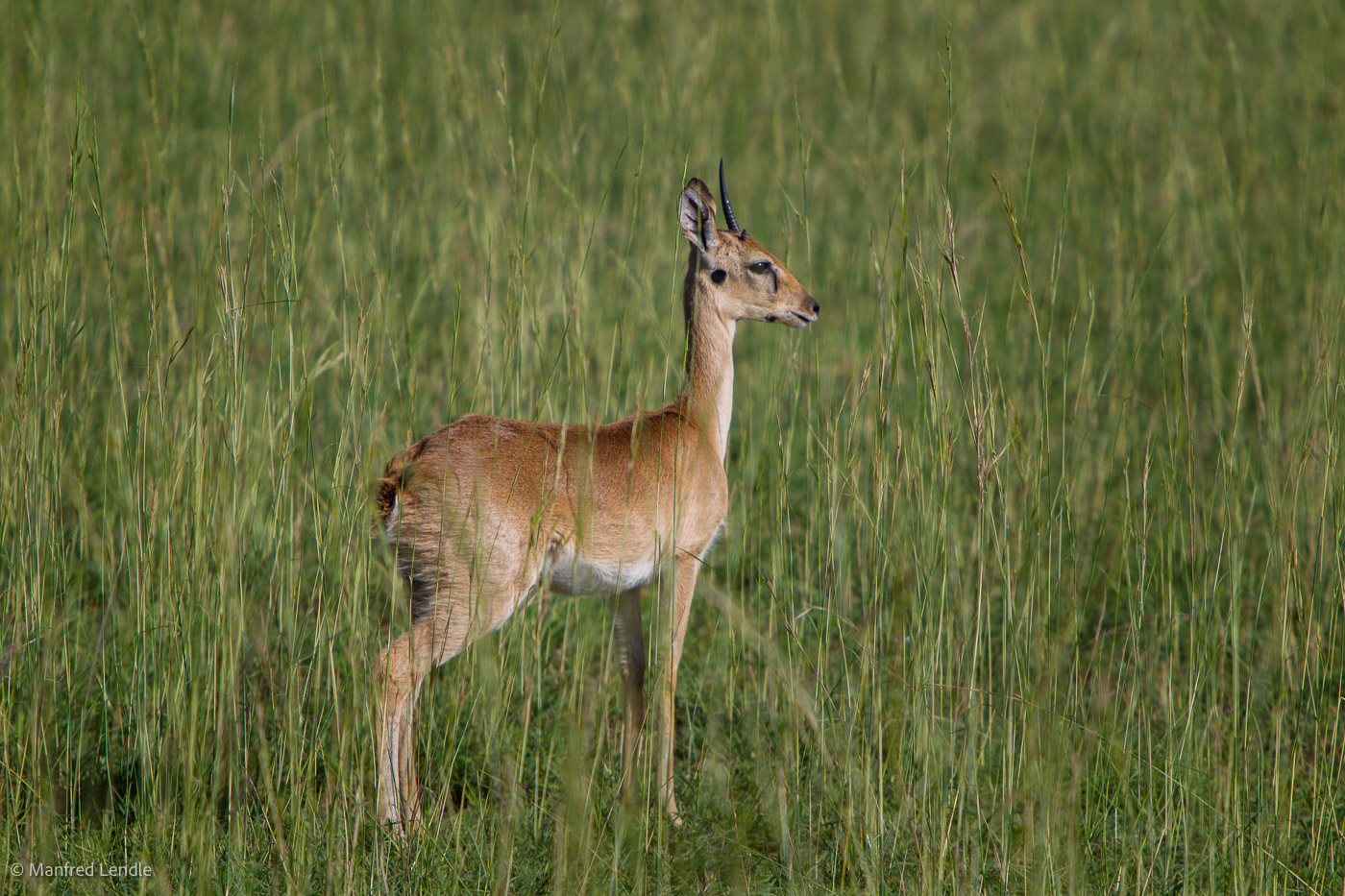 Uganda_2010_1D-3295.jpg