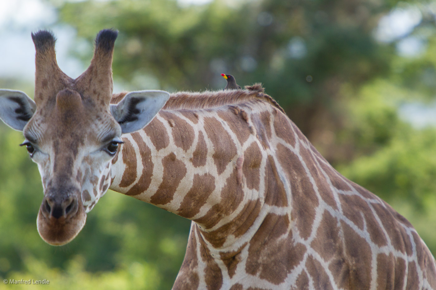 Uganda_2010_1D-3297.jpg