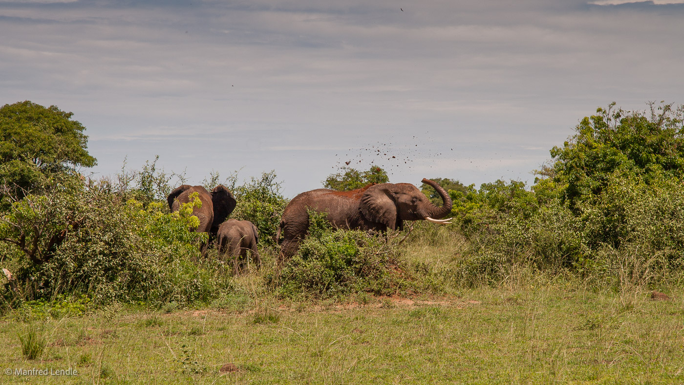 Uganda_2010_20D-0670.jpg